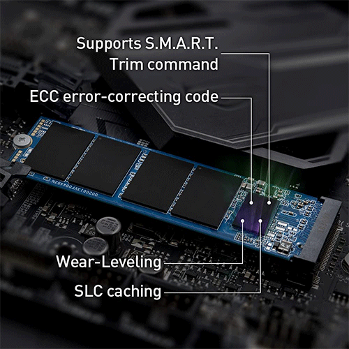 TEAMGROUP MP33 Pro 1TB M.2 NVME Gen3 Solid State Drive ( SSD ) - Byte Baazar