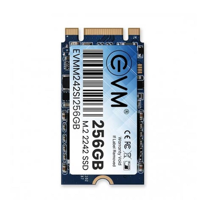 EVM 256GB M.2 SATA III Solid State Drive ( SSD ) - Byte Baazar